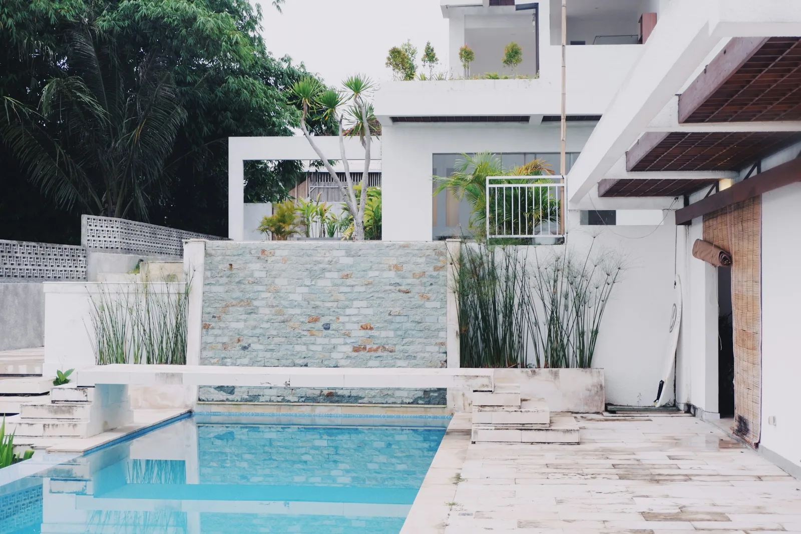 Bangunan modern dengan material beton dan tanaman tropis